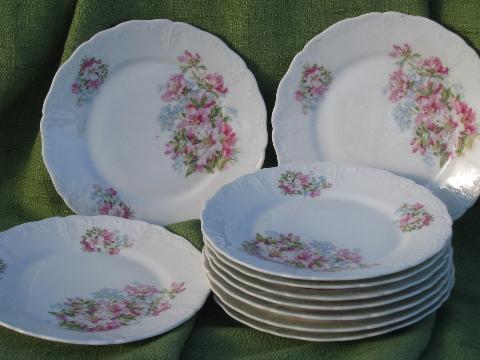 photo of 10 antique azalea lily floral china salad plates, vintage Germany? #1