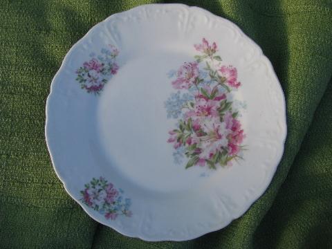 photo of 10 antique azalea lily floral china salad plates, vintage Germany? #2