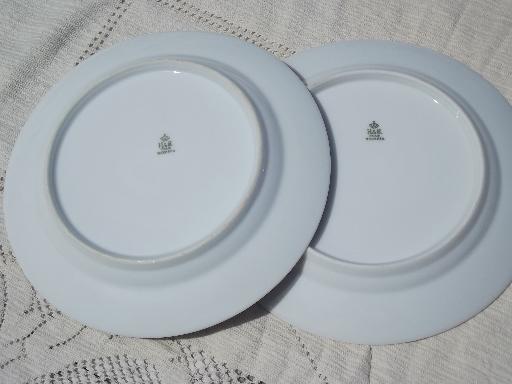 photo of 10 rose garland china salad / dessert plates, vintage H & Co Bavar #5