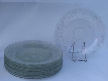 catalog photo of 12 vintage bake sale cake platter / bakery display plates, daisy pattern glass