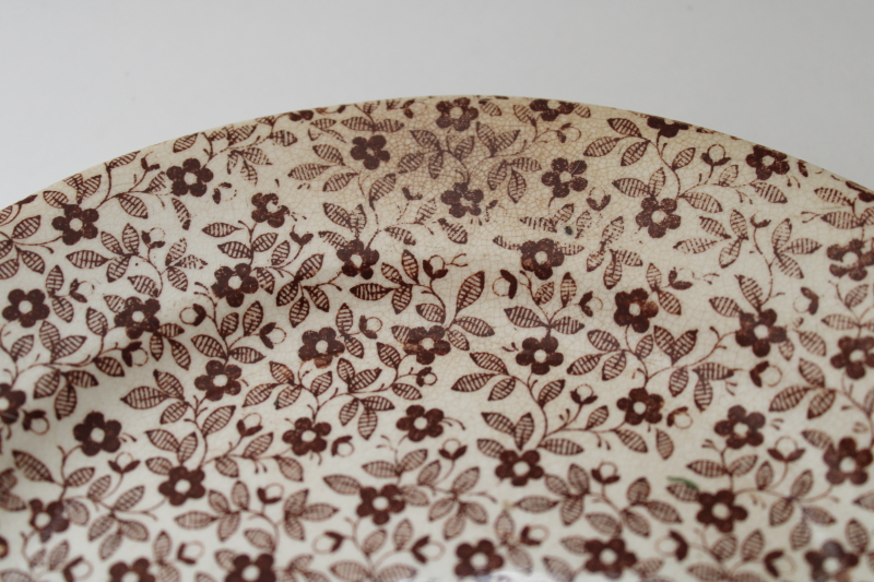 photo of 1800s antique brown calico china plate, Burleigh or Burgess & Leigh Felicity pattern  #2