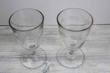 catalog photo of 1800s antique glass goblets, wine or water glasses w/ etched fern leaf pattern