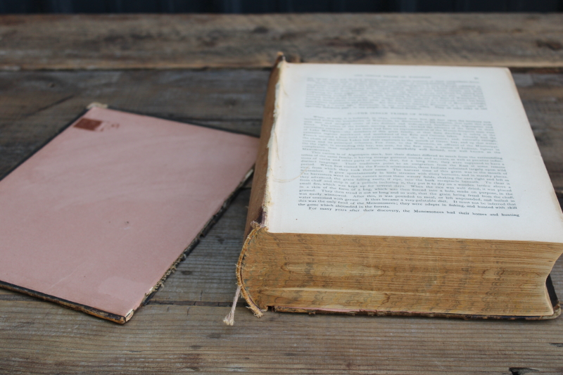 photo of 1880 book History of Columbia County Wisconsin early settlement & local historical people of the area  #2