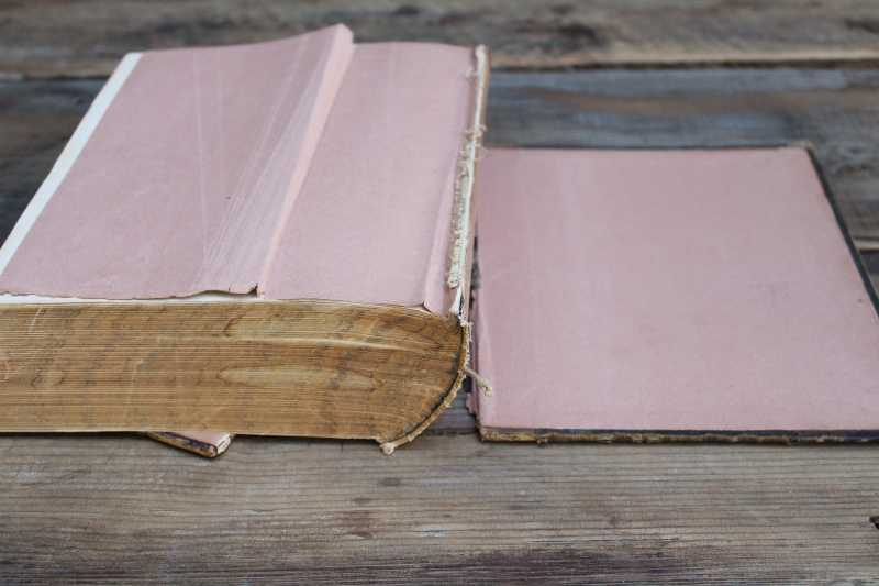 photo of 1880 book History of Columbia County Wisconsin early settlement & local historical people of the area  #9