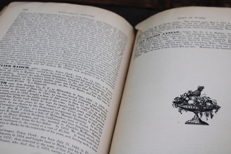 photo of 1880 book History of Dane County Wisconsin early settlement & local people of the Madison area  #6