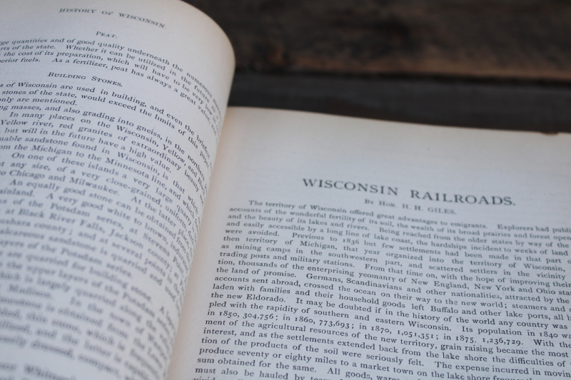 photo of 1880 book History of Dane County Wisconsin early settlement & local people of the Madison area  #12