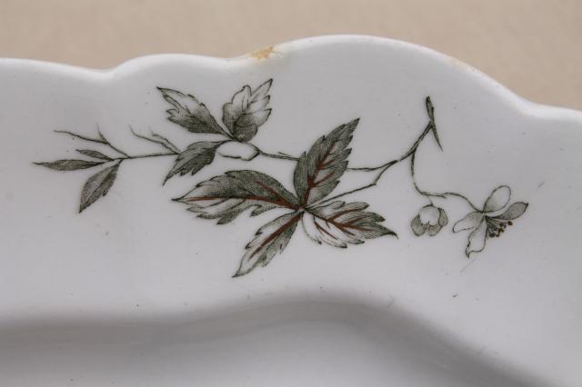 photo of 1880s antique English Staffordshire transferware platter, Virginia creeper vine #5