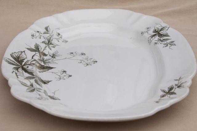 photo of 1880s antique English Staffordshire transferware platter, Virginia creeper vine #8