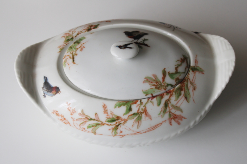 photo of 1880s antique H&Co Haviland Limoges china pitcher & serving dish Meadow Visitors birds on basketweave #8