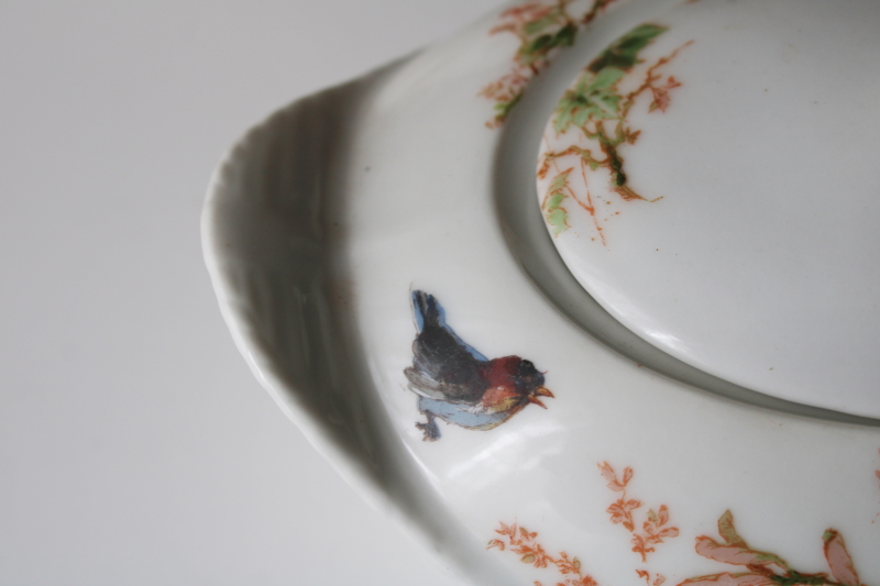 photo of 1880s antique H&Co Haviland Limoges china pitcher & serving dish Meadow Visitors birds on basketweave #10