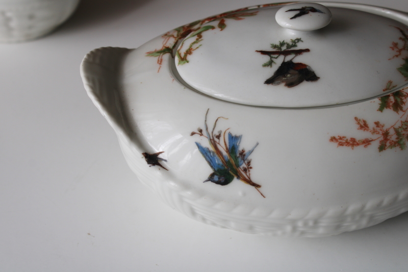 photo of 1880s antique H&Co Haviland Limoges china pitcher & serving dish Meadow Visitors birds on basketweave #12