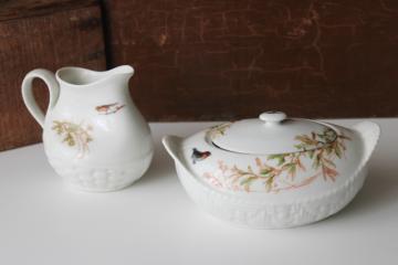catalog photo of 1880s antique H&Co Haviland Limoges china pitcher & serving dish Meadow Visitors birds on basketweave