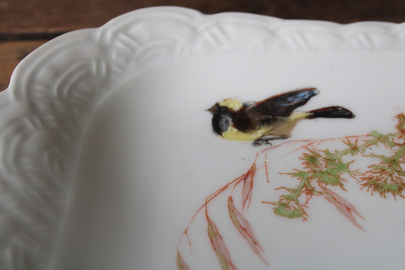 photo of 1880s antique H&Co Haviland Limoges china tray or serving dish Meadow Visitors birds on basketweave #2