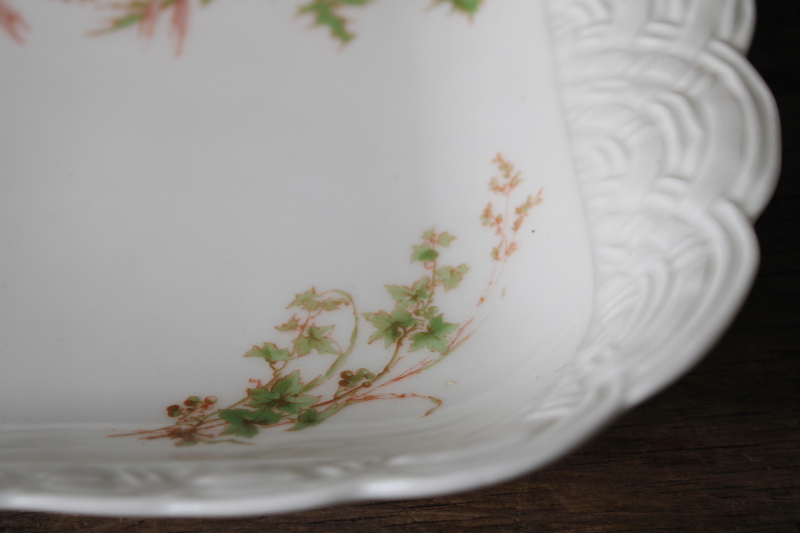 photo of 1880s antique H&Co Haviland Limoges china tray or serving dish Meadow Visitors birds on basketweave #4