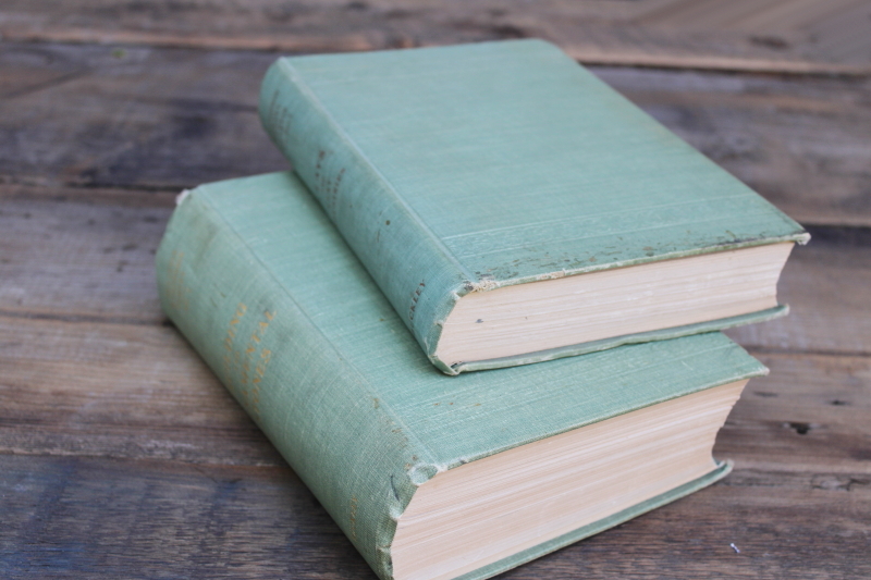 photo of 1896 Building & Ornamental Stones, 1901 Clays & Clay Industries of Wisconsin, antique books Wisconsin regional products  #10