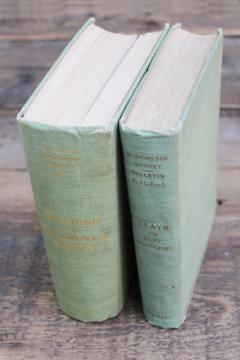 1896 Building & Ornamental Stones, 1901 Clays & Clay Industries of Wisconsin, antique books Wisconsin regional products 