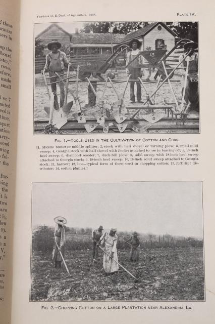 photo of 1905 US Department of Agriculture yearbook, antique vintage USDA farm year book #9