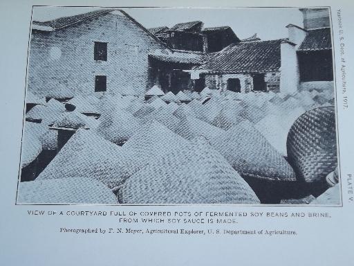 photo of 1917 US Department of Agriculture  yearbook, vintage USDA farm year book  #4