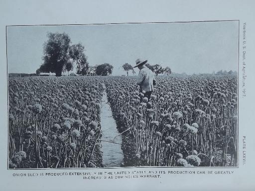 photo of 1917 US Department of Agriculture  yearbook, vintage USDA farm year book  #5