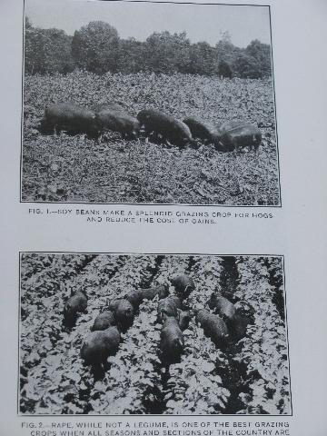 photo of 1917 vintage Dept. of Agriculture USDA farming yearbook #2