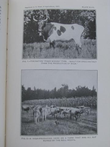 photo of 1917 vintage Dept. of Agriculture USDA farming yearbook #4