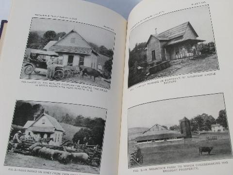 photo of 1917 vintage Dept. of Agriculture USDA farming yearbook #5