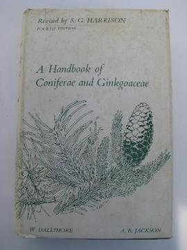 catalog photo of 1920s Handbook of Coniferae and Ginkgoaceae vintage tree botany text book