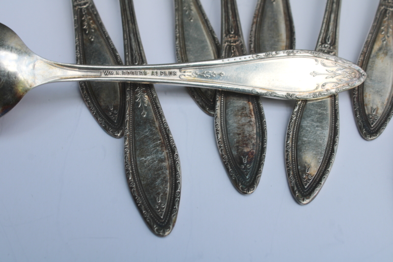 photo of 1920s vintage Oneida Mystic - Coronet silver plate, set of 12 teaspoons Wm A Rogers A1 Plus  #3