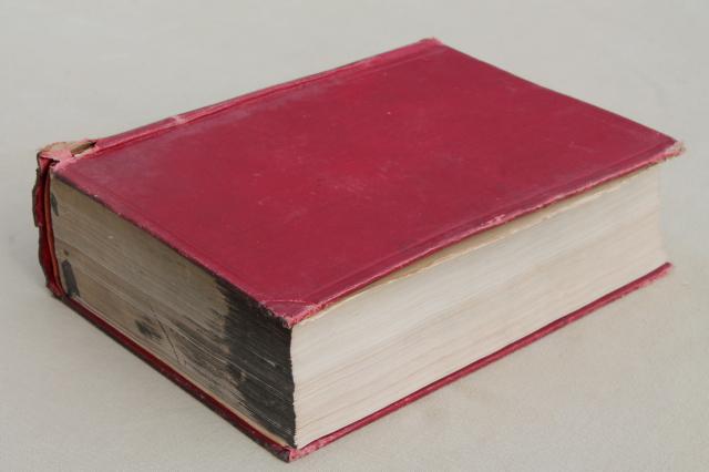 photo of 1920s vintage medical textbook, Diseases of the Skin, gruesome photos #2