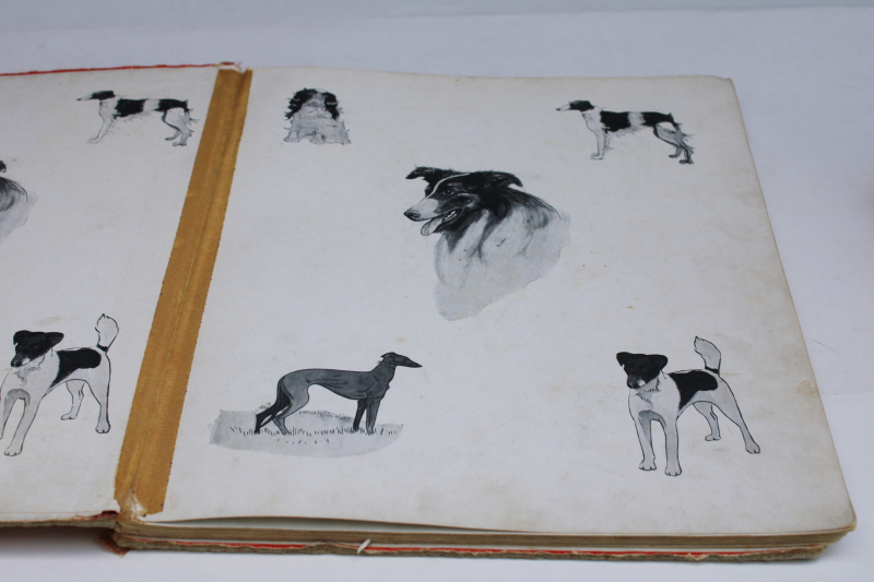 photo of 1930s vintage Just Dogs picture book, large black & white photos art photography #3