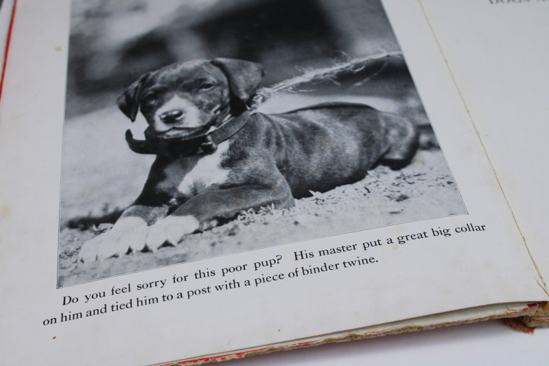 photo of 1930s vintage Just Dogs picture book, large black & white photos art photography #4