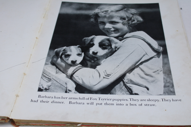 photo of 1930s vintage Just Dogs picture book, large black & white photos art photography #7