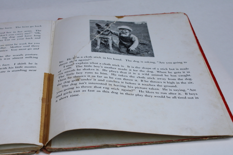 photo of 1930s vintage Just Dogs picture book, large black & white photos art photography #10