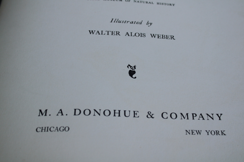 photo of 1930s vintage book 10 x 12 bird prints, Walter Alois Weber art illustrations Traveling With The Birds  #2