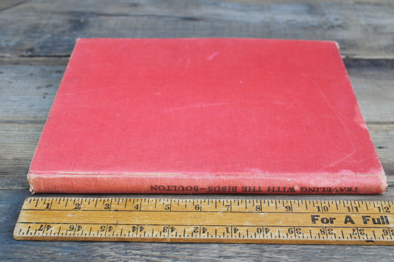 photo of 1930s vintage book 10 x 12 bird prints, Walter Alois Weber art illustrations Traveling With The Birds  #4