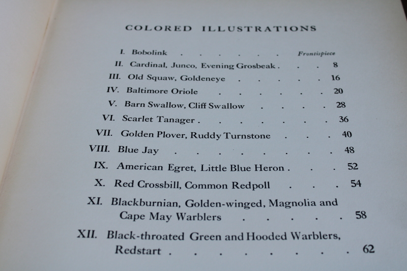 photo of 1930s vintage book 10 x 12 bird prints, Walter Alois Weber art illustrations Traveling With The Birds  #6