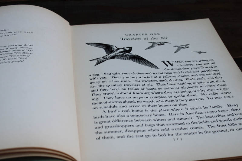 photo of 1930s vintage book 10 x 12 bird prints, Walter Alois Weber art illustrations Traveling With The Birds  #7
