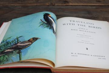 1930s vintage book 10 x 12 bird prints, Walter Alois Weber art illustrations Traveling With The Birds 