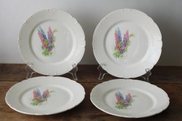 catalog photo of 1930s vintage china dinner plates w/ lupine flowers cottage garden print, Lincoln Illinois pottery 