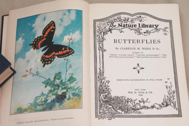 photo of 1930s vintage natural history books w/ color plates, butterflies, trees, flower illustrations #3