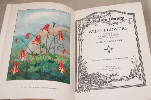 photo of 1930s vintage natural history books w/ color plates, butterflies, trees, flower illustrations #7