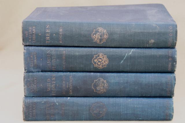 photo of 1930s vintage natural history books w/ color plates, butterflies, trees, flower illustrations #9