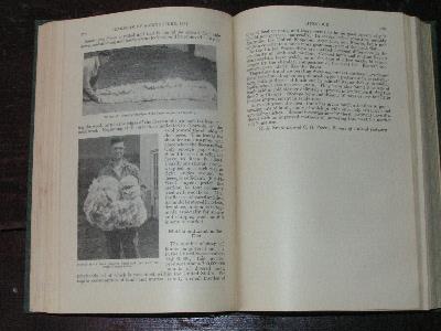 photo of 1933 yearbook of agriculture, usda farm reports #2