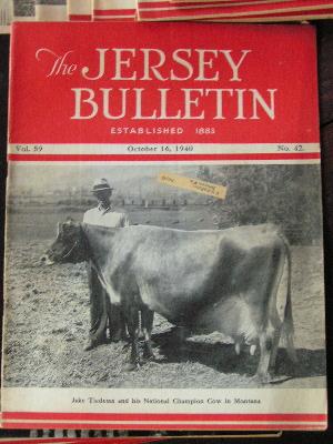 photo of 1939 jersey bulletins, dairy cattle cows pedigrees, ads #2