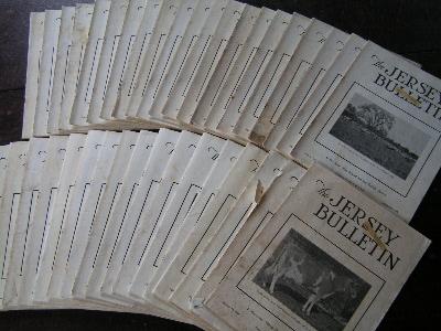 photo of 1939 jersey bulletins, dairy cattle cows pedigrees, ads #1