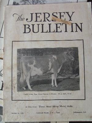 photo of 1939 jersey bulletins, dairy cattle cows pedigrees, ads #2