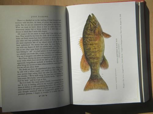 photo of 1940s 1st edition signed Just Fishing/Bergman full color plates of fish #1