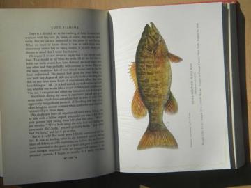 catalog photo of 1940s 1st edition signed Just Fishing/Bergman full color plates of fish