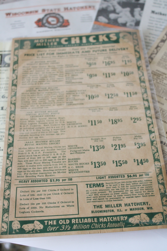 photo of 1940s 50s vintage chicken farm ephemera lot, Mother Miller baby chicks hatchery catalogs, old magazines #3