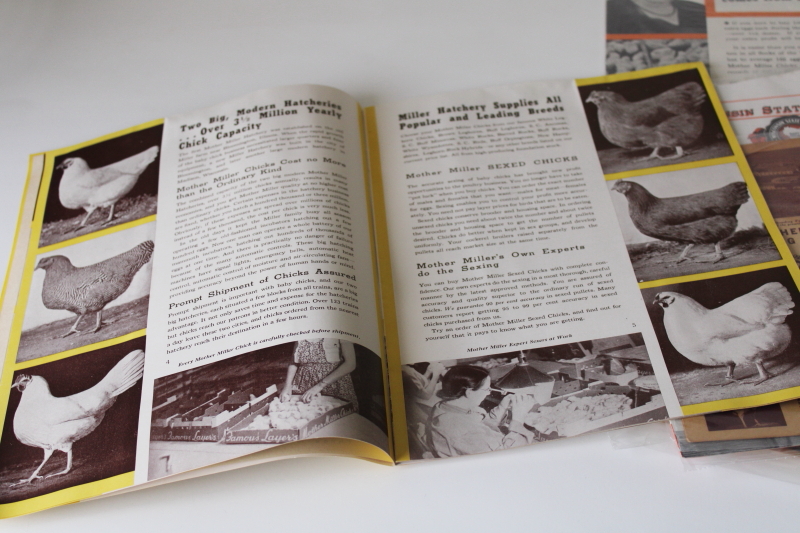 photo of 1940s 50s vintage chicken farm ephemera lot, Mother Miller baby chicks hatchery catalogs, old magazines #4